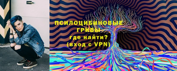 МДМА Гусев