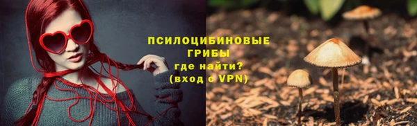 сатива Гусиноозёрск