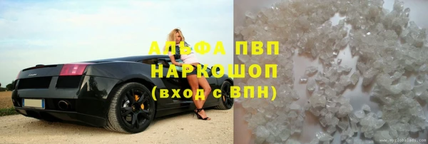 сатива Гусиноозёрск