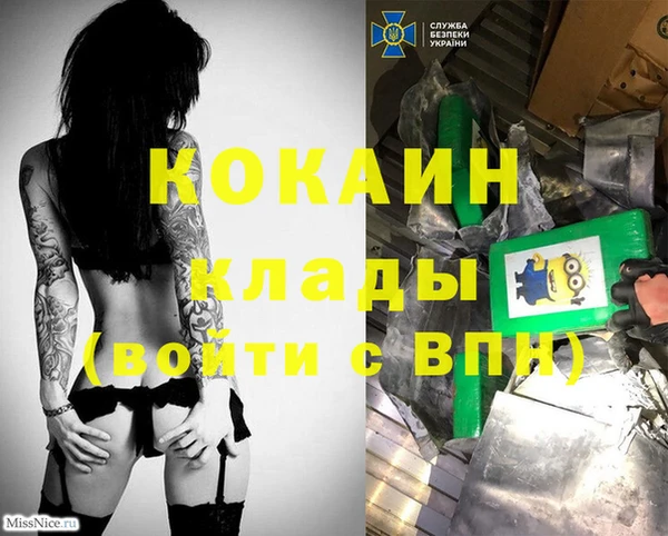 прущая мука Дмитриев