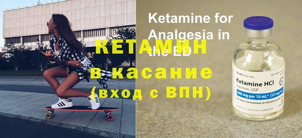 сатива Гусиноозёрск