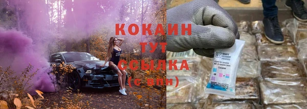тгк Гусь-Хрустальный