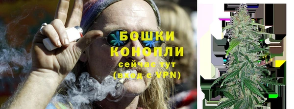 сатива Гусиноозёрск