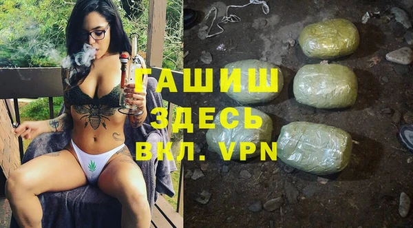 сатива Гусиноозёрск